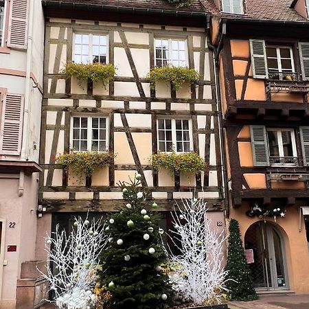 Les Suites Du Cygne Colmar Eksteriør billede