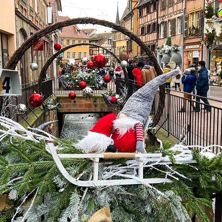 Les Suites Du Cygne Colmar Eksteriør billede