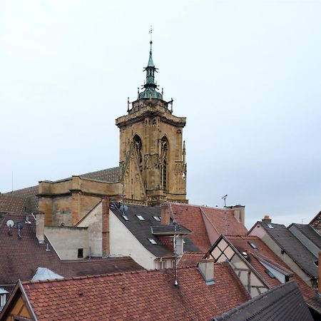 Les Suites Du Cygne Colmar Eksteriør billede