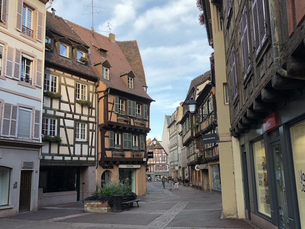 Les Suites Du Cygne Colmar Eksteriør billede