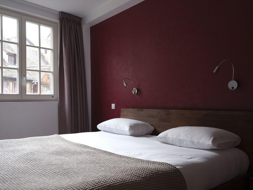 Les Suites Du Cygne Colmar Eksteriør billede