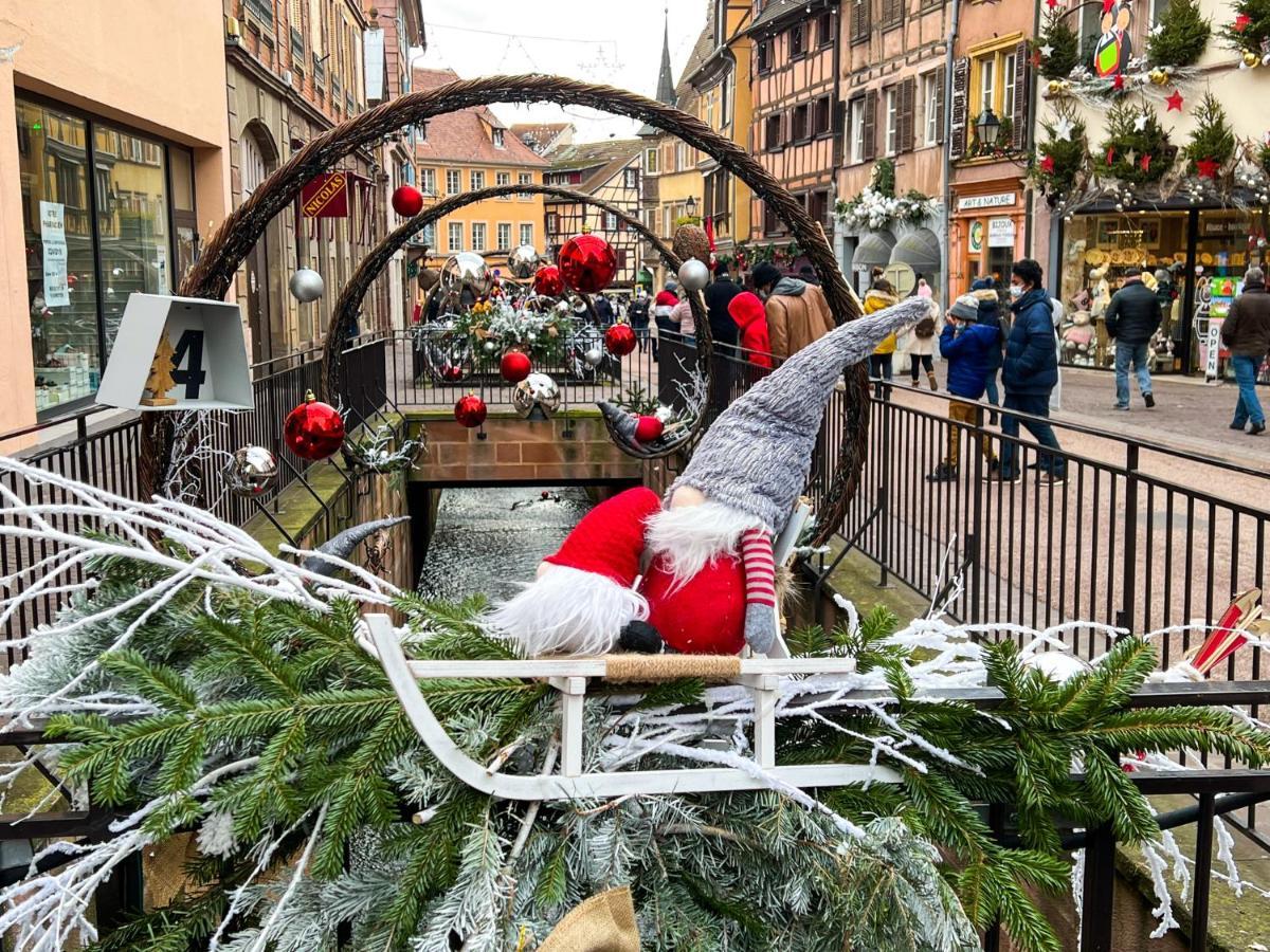 Les Suites Du Cygne Colmar Eksteriør billede