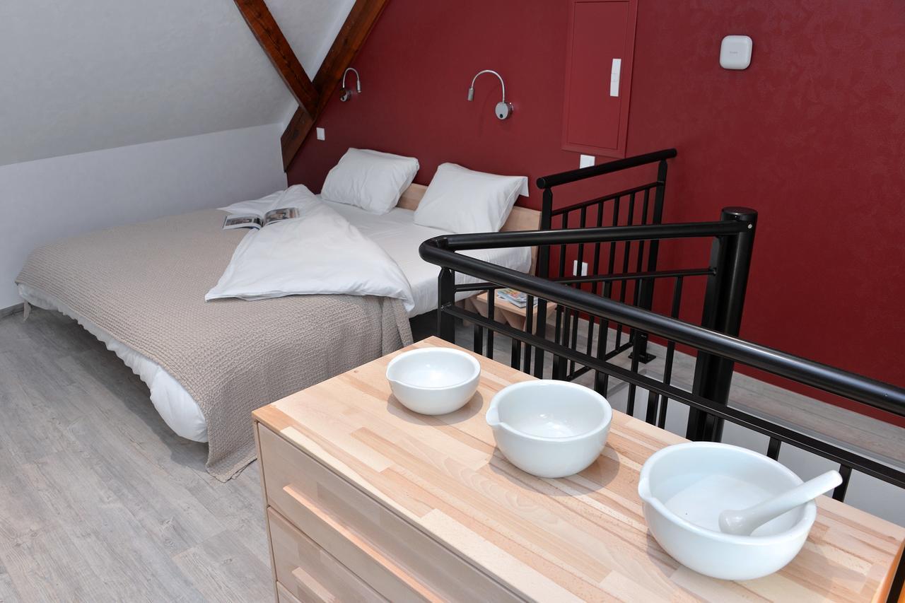 Les Suites Du Cygne Colmar Værelse billede