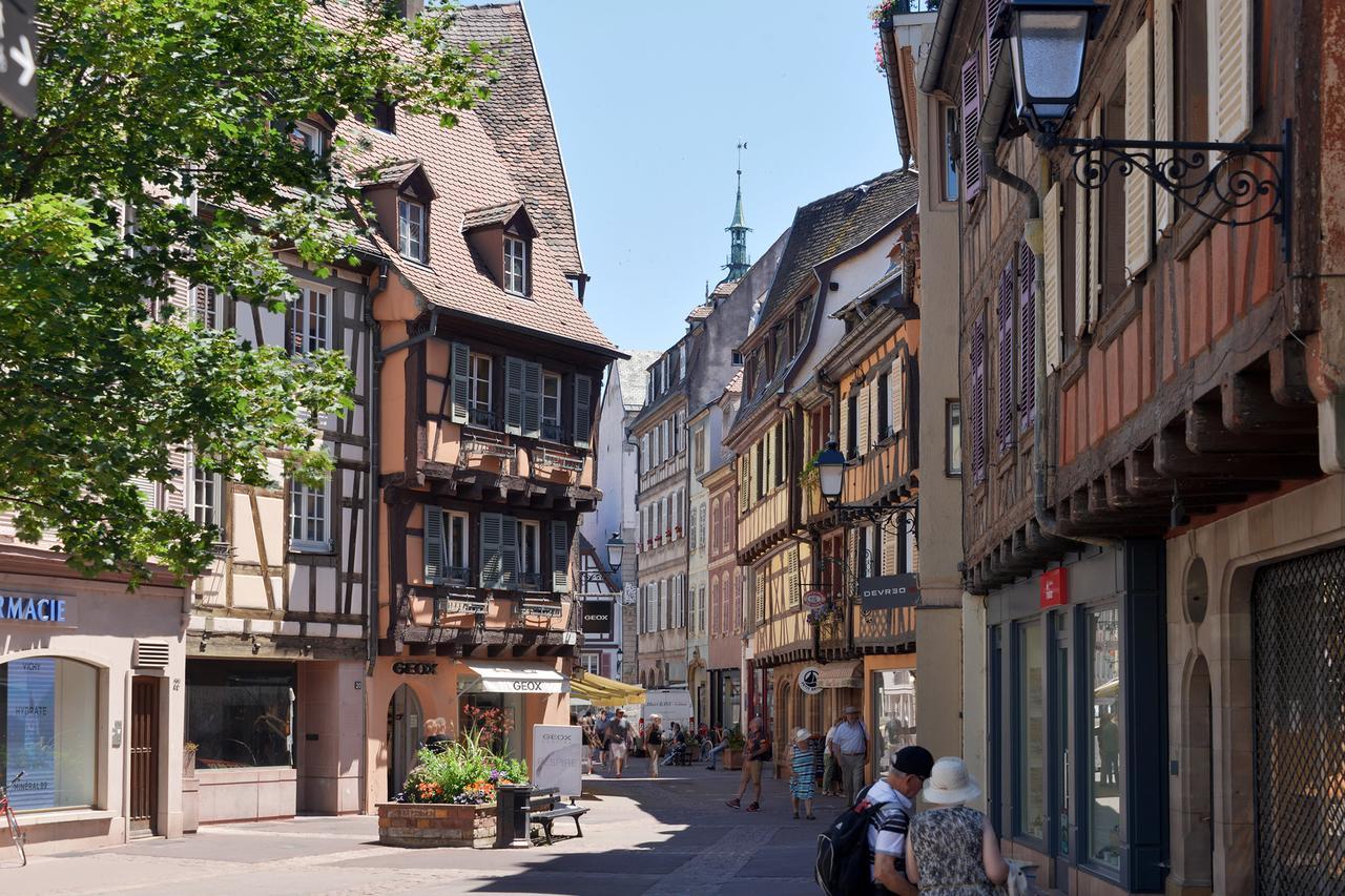 Les Suites Du Cygne Colmar Eksteriør billede