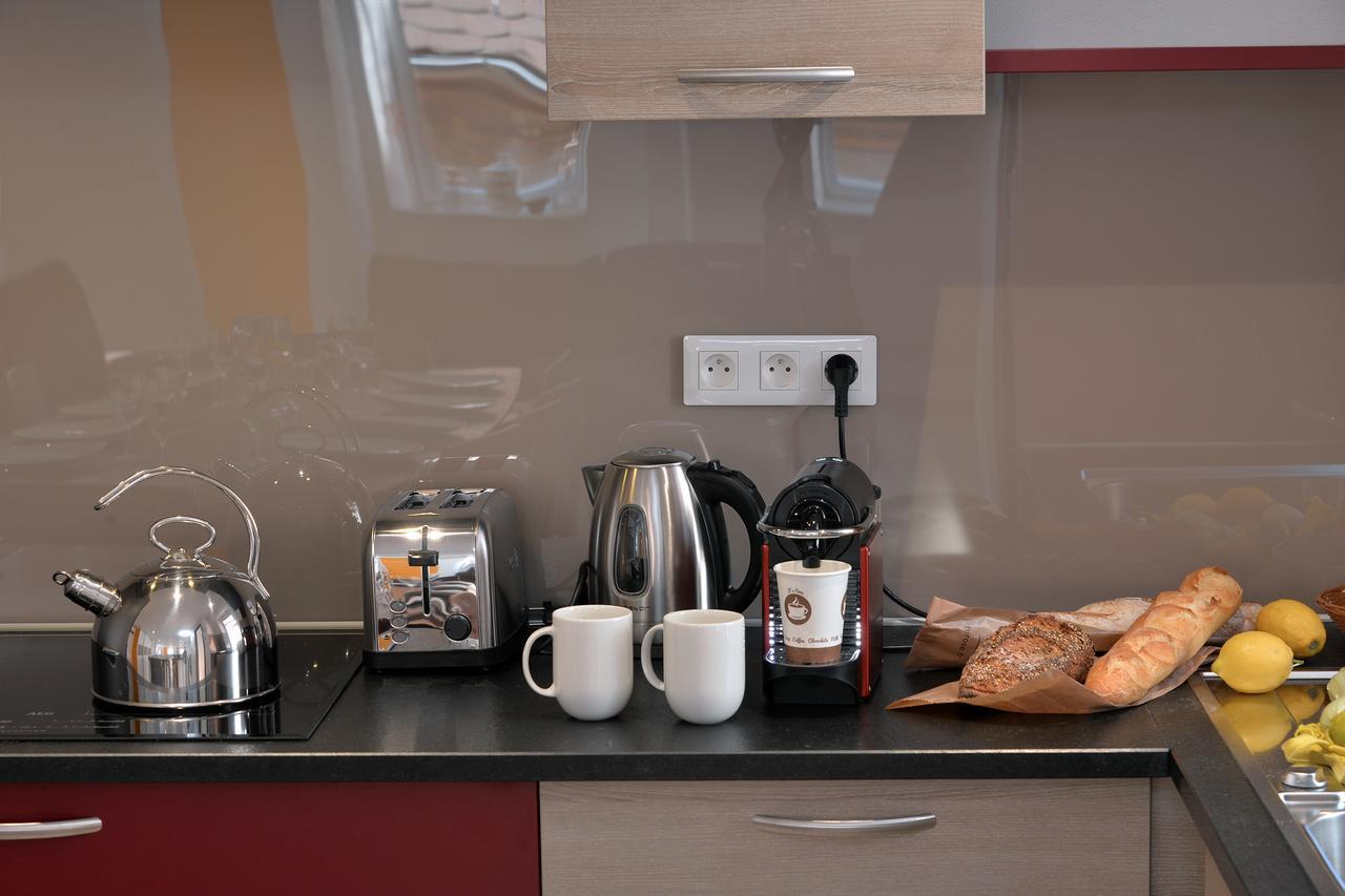 Les Suites Du Cygne Colmar Eksteriør billede