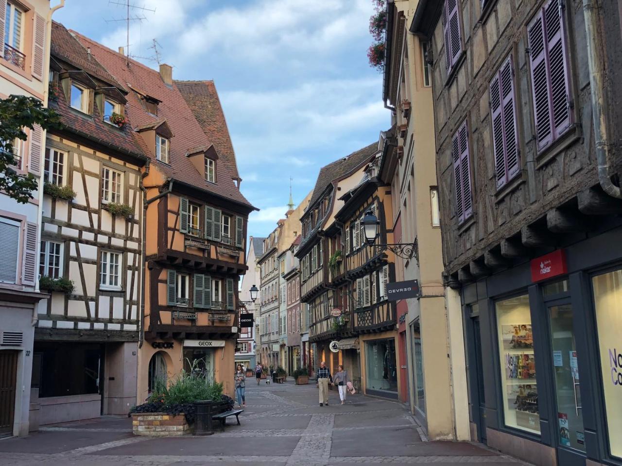 Les Suites Du Cygne Colmar Eksteriør billede