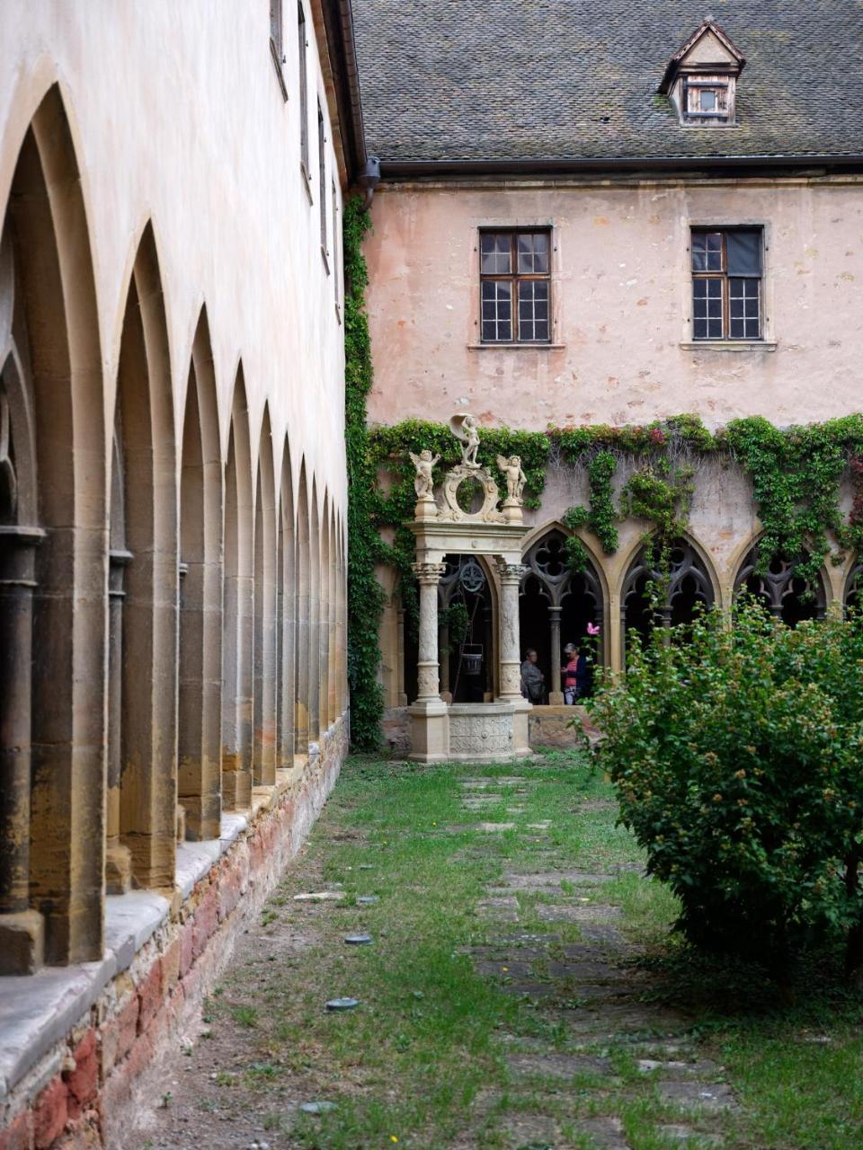 Les Suites Du Cygne Colmar Eksteriør billede