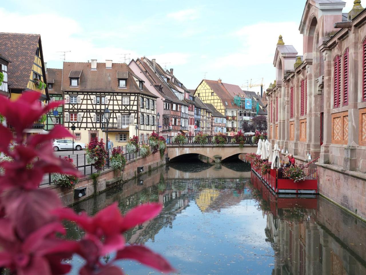 Les Suites Du Cygne Colmar Eksteriør billede