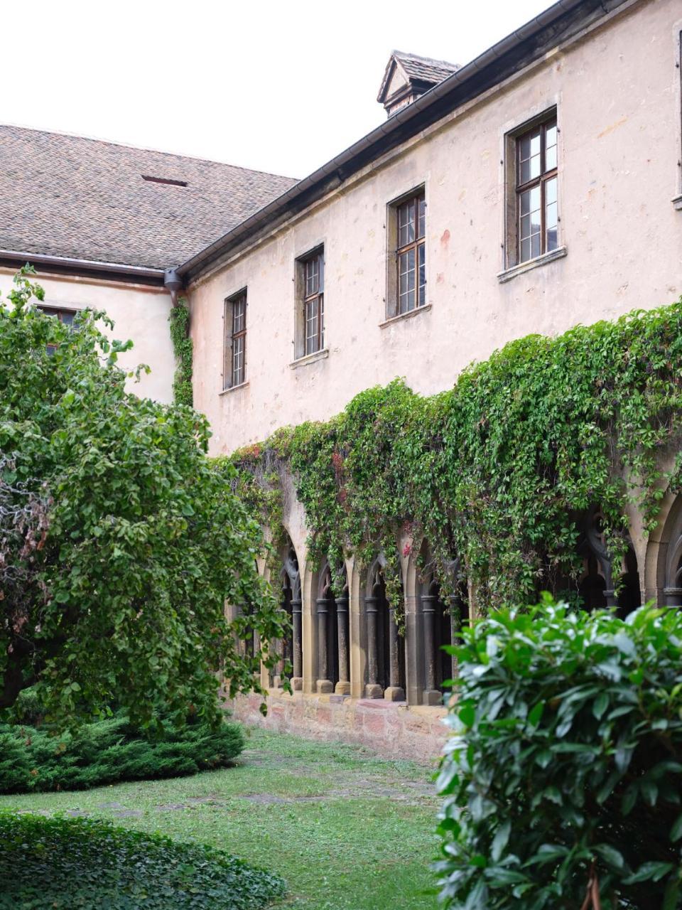 Les Suites Du Cygne Colmar Eksteriør billede